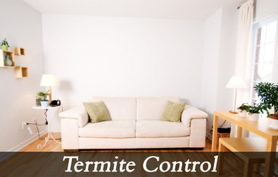 Termite Pest Control Services By ORION PEST SOLUTIONS PVT. LTD.