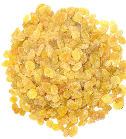 Yellow Raisin