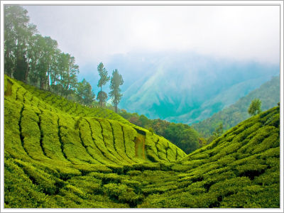 Enchanting Kerala Tour