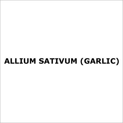 Allium Sativum (Garlic)