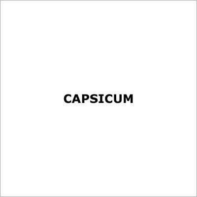 Capsicum