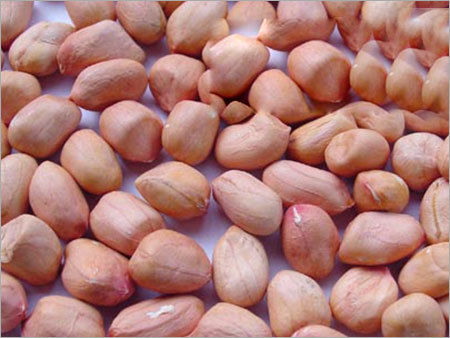 Peanuts /Groundnuts