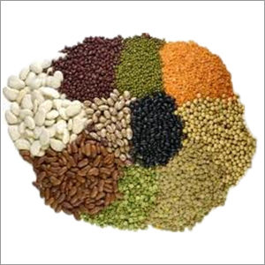 Indian Pulses