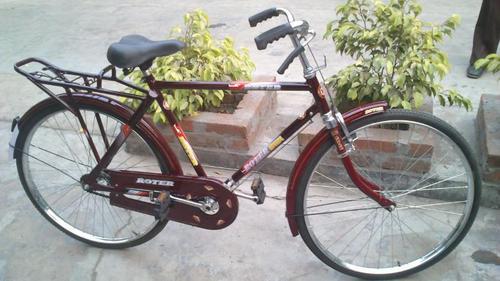 Roadster Bicycle