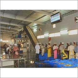 Mango Processing Plant