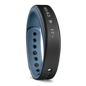 Garmin Va-vosmart Blue Large