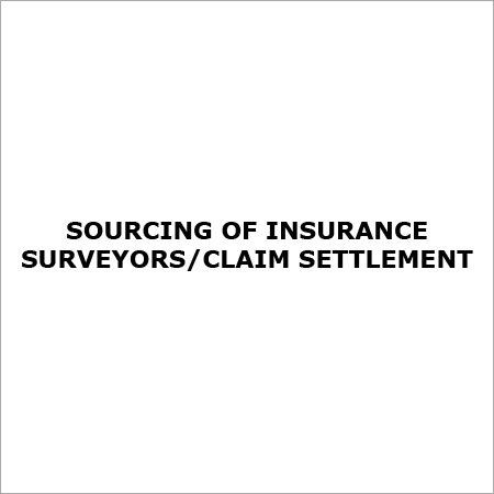 Insurance Surveyor Service