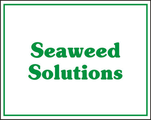 Seaweed Solutions