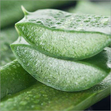 Aloe Vera Gel