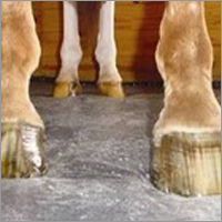 Horse Mat