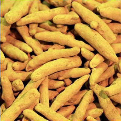 Dried Yellow Turmeric Finger