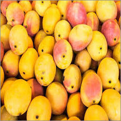 Yellow Fresh Mango