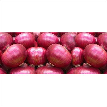 Red Onion - Whole, Round, Organic, Preserved Vegetables | Grade A, Red Color, Normal Taste, 3-4 Weeks Shelf Life, Sourced from India