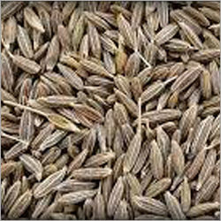 Cumin Seed