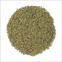 Millet Seeds