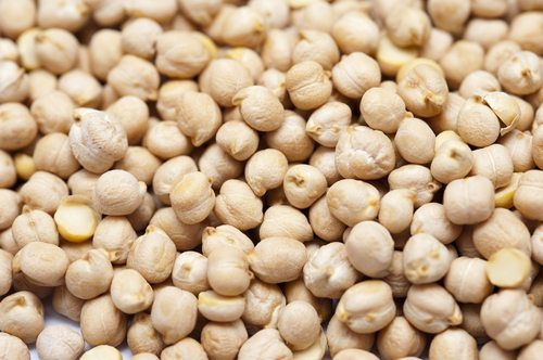 Organic Chickpeas