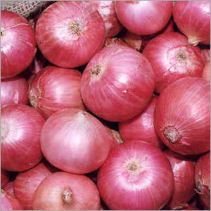 Fresh Red Onion