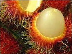 Black Rambutan