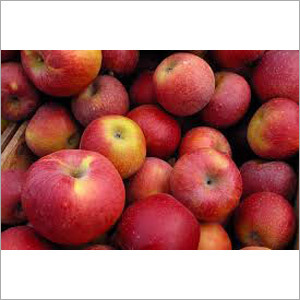 Fresh Apples - Medium Size, Red Color, 100-200g Weight, Refrigerated Storage | Long Shelf Life, No Chemical Preservatives, Exotic Taste, Rich in Vitamin C