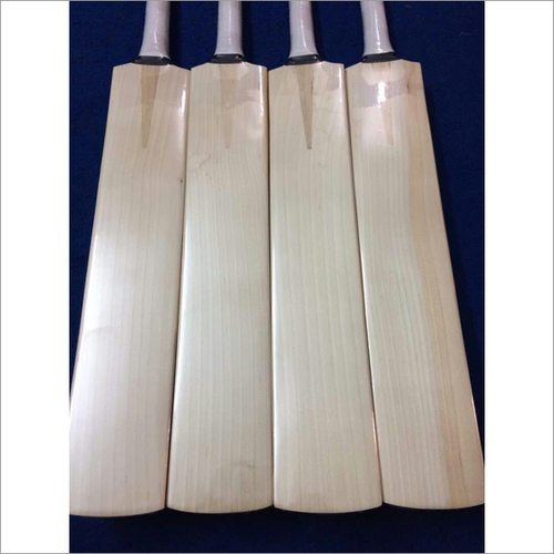 Kashmir Willow Cricket Bat