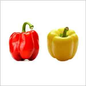 Orange Bell Pepper