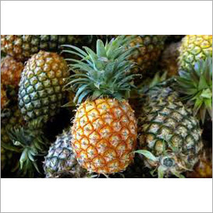 Pineapple Fruits