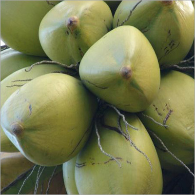 Raw Coconut Application: Interior