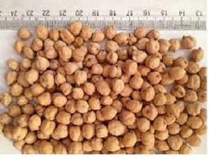 Brown Chick Peas