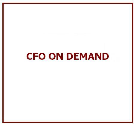 CFO on Demand Services By TAPANSHI FINANZIELL