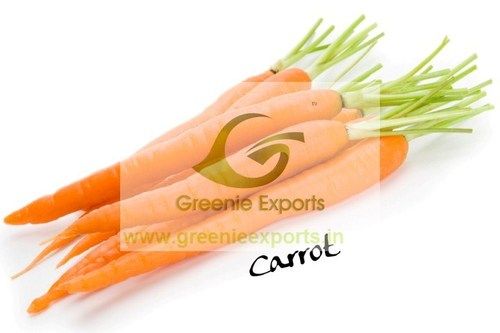 Carrot