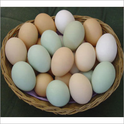 Eggs