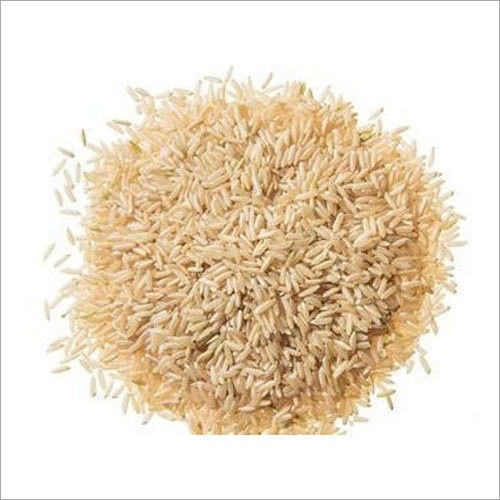 Fresh Basmati Rice