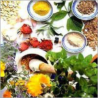 Herbal Medicine