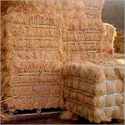 SURYA Coir Fiber