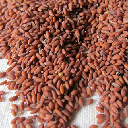 Chandrasoor Seed