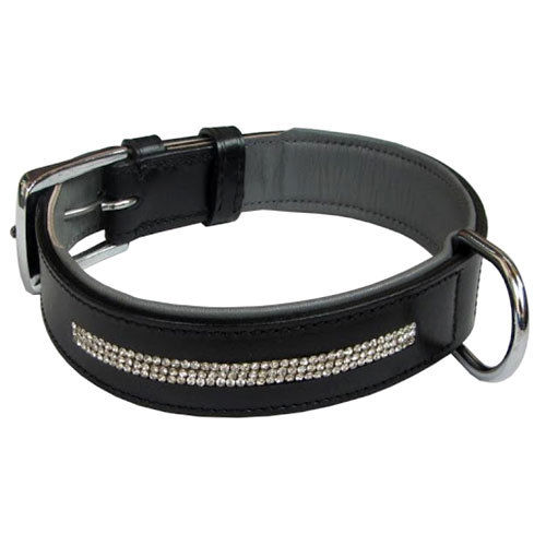 Leather Dog Collar