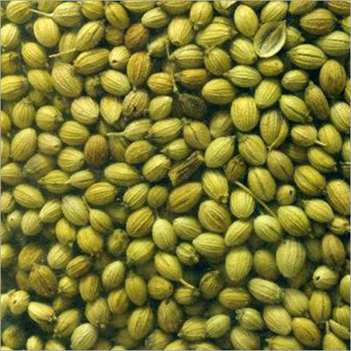 Coriander Seeds