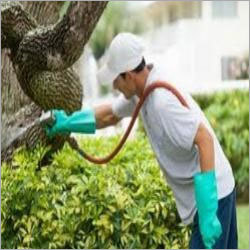 Herbal Pest Control Services By RASHTRIYA CHEMICAL & HERBAL PEST CONTROL SERVICE