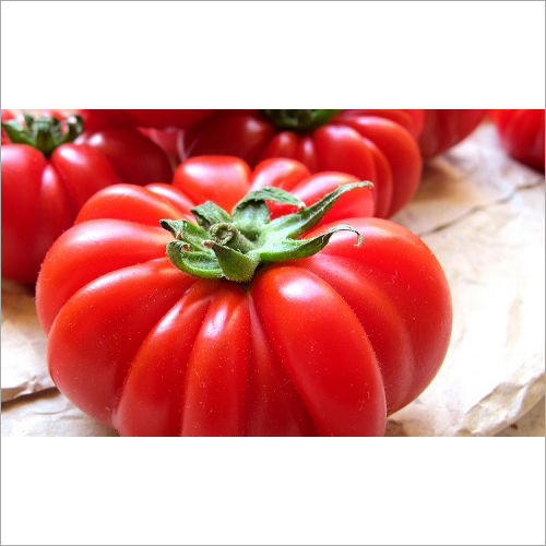 Fresh Tomato - Bacteria-Free, Nutrient-Rich | Powerhouse of Vitamin C, Great for Indian & Mexican Cuisines, Easy to Digest, Long Shelf Life