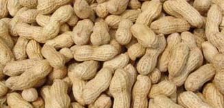 Raw Groundnuts