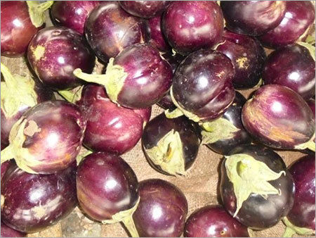 Brinjal