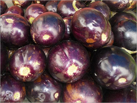 Fresh Brinjal