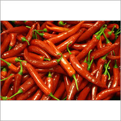 Red Chilli - Premium Quality, Freshly Cultivated Under Expert Supervision | Very Spicy, Rich Flavor, Long Shelf Life