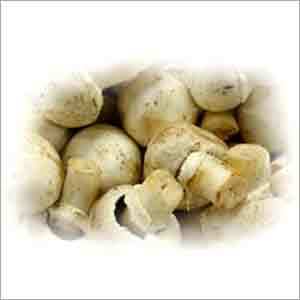 White Button Mushroom - Organically Cultivated, Moisture-Free Packed | Rich in Proteins, Low in Fat, Supports Immunity