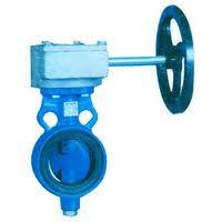 Papillon Valve