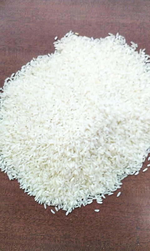 Parimal  Rice Application: Motor Speed Control