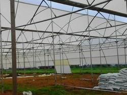 Agriculture Protection Shade Net