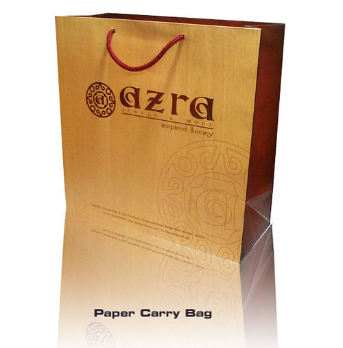 special carry bag