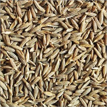 Cumin Seeds