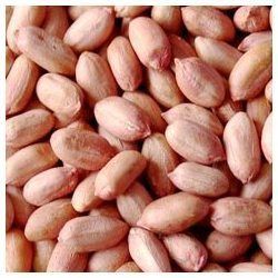 Groundnut Seeds